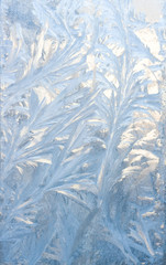 frozen pattern
