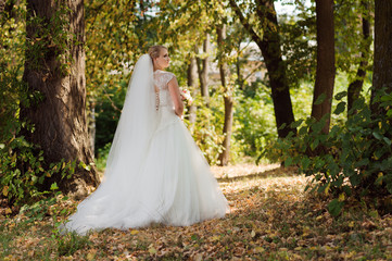 She is not lost. Beautiful young bride walking in the forest on a sunny wedding day
