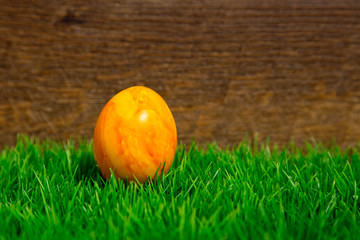 Bilder und Videos suchen: ostergras