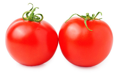 tomatoes isolated on white background