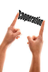 Smaller cooperation concept