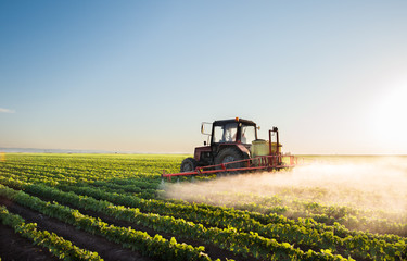 Obraz premium Tractor spraying soybean field