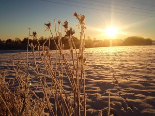 Winterlandschaft bei Sonnenaufgang