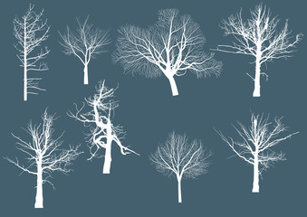 set of seven bare trees isolated on blue