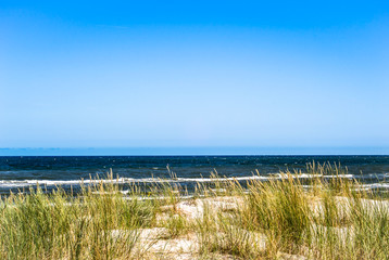 Landscape of sand dune and grass by the sea, summer blue sky