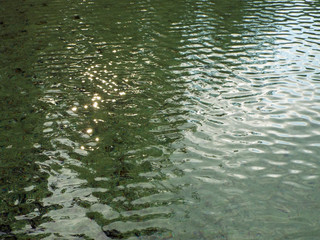 Reflections in a Mountain Lake Under a Blue Sky Priest Lake Idaho USA