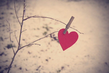 Heart shape on a snowy branch