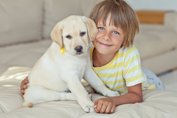 Happy kid with a dog at home  © nuzza11