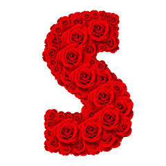 Rose alphabet set - Alphabet capital letter S made from red rose
