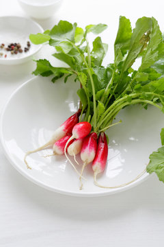 bunch of organic radish