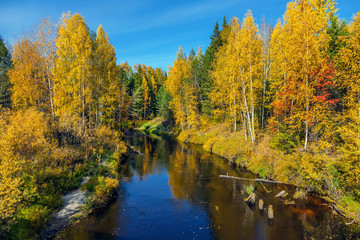 Fototapeta na wymiar Autumn in Siberia.