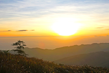 Morning sunshine over the mist forest national park, Thailand