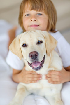 kid are playing with dog at home 