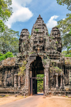 The ruins of Ta Prohm  Temple in Cambodia