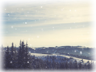 Fototapeta na wymiar Winter wonderland. snow falling 