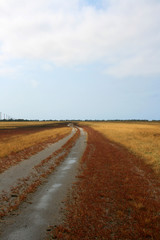 Fototapeta premium road to goal. the red grass trip to target 