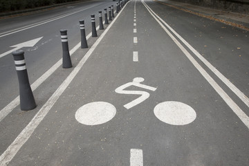 Bike Lane Symbol