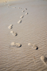 Journey Traces in the Sand