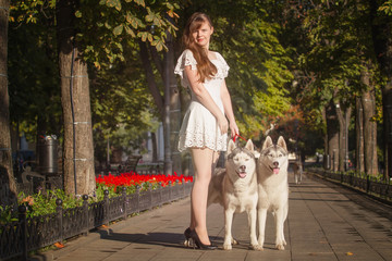 Naklejka na ściany i meble Young girl walking down the street with two dogs. A girl in a white dress. Siberian Huskies.