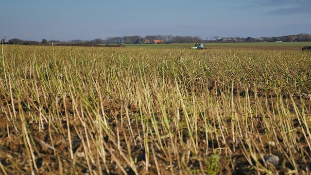 tracteur durant saison des labours et des semences