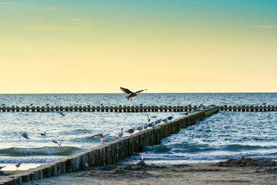 Fototapeta Morze Bałtyckie