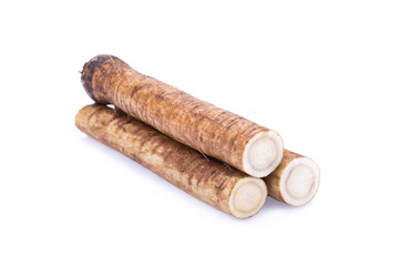 Fresh Burdock roots on white background
