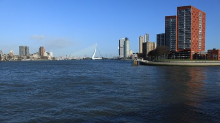Naklejka premium Rotterdam, Blick von Katendrecht über die Maas in Richtung Stadtzentrum