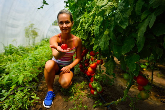 young woman picking fresh vegetables in summer garden