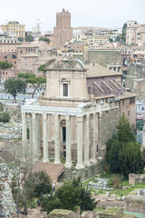 Fototapeta na wymiar rome, imperial forum, palatino