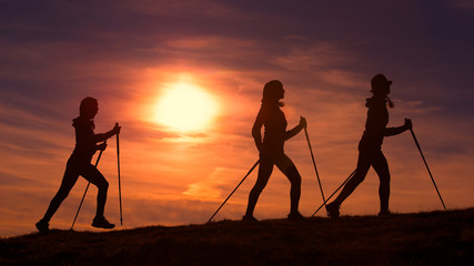 Women do Nordic walking - Powered by Adobe
