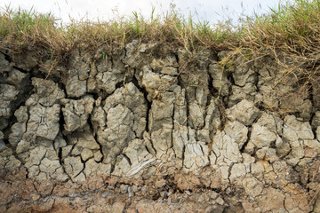 cut of soil with different layers at the Freshwater lake., Thail
