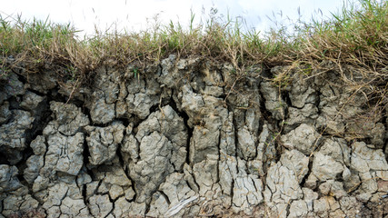 cut of soil with different layers at the Freshwater lake., Thail