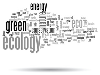 Vector conceptual ecology word cloud isolated