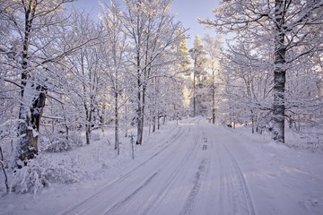 Snowy road at Aulanko nature park on a sunny winter day. Snowy trees surrounding the icy road. HDR image.