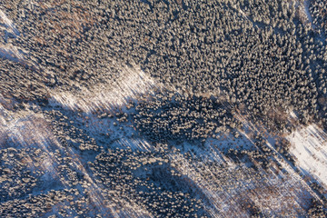 aerial view of the forest in winter time