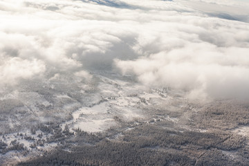 aerial view of the forest in winter time