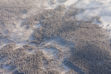 aerial view of the forest in winter time