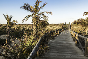 wooden foot bridge towards the beach