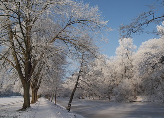 Stadtpark im Winter