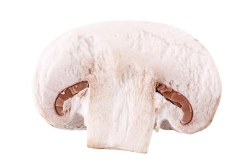 mushroom champignons