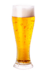 glass of beer