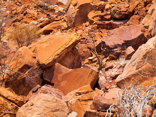 Bushman prehistoric rock engravings in Twyfelfontein