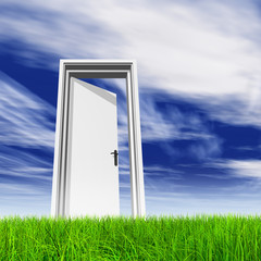 Conceptual white door in grass with sky background