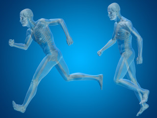 Conceptual man or human 3D anatomy or body on blue