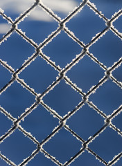 Chain link fence with snow