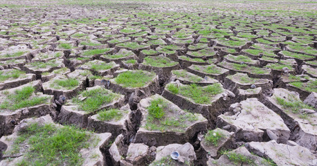 land with dry cracked mud ground