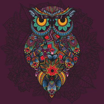 Vector illustration of ornamental owl. Bird illustrated in tribal.