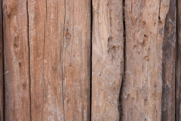texture old tree wood