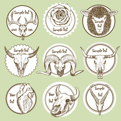 Sketch set of animal skulls © kali1348