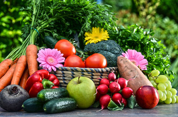 Naklejka na ściany i meble Variety of fresh organic vegetables and fruits in the garden